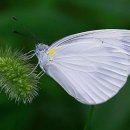 자글자글 이미지