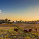 고향노래연습장 이미지