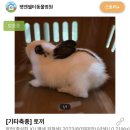 조재진동물병원 이미지