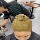 (동서남북)자연의 색을 담다 천연염색 | [공지] 자연을 입히는 천연 염색, 오라뷰티랩의 헤나 이야기