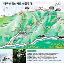 태백산 눈축제 정상소식 260131 이미지