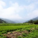 푸른계곡 이미지