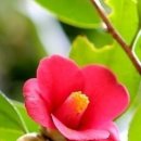 동학농장 이미지