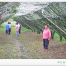 영서농장 이미지