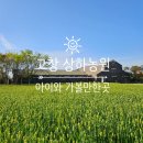 서동농장 | 고창 상하농원 입장권 카페 아이와 가볼만한곳