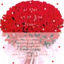 100송이 이미지