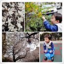 할머니꽃마트 - 15391 | 할머니꽃마트