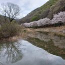 송정 박상진호수공원 입구 | 송정 박상진 호수 공원 울산 숨은 벚꽃 명소 울산 가볼 만한 곳