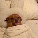 동원세탁 | 첫 동원예비군 후기 / 북한산노고산동원훈련장 준비물 및 시설, 훈련 정보