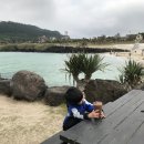 델문도 이미지