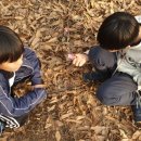 홍난파 생가 이미지