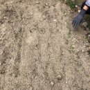 아화중학교 이미지