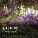 김제1농장 | 김제 아이와 가볼만한곳 등나무꽃 인생샷 명소 꽃다비팜 전북 여행
