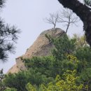 비밀의 정원 이미지