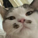 혜진우리옷 이미지