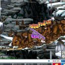 (주)매직박스 이미지