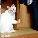 따봉 - 제주시 삼무로 40 | 따봉