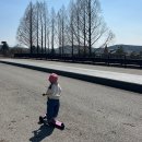 세잎 | 세잎파리 - 람보르기니킥보드 / 내돈내산 / 유아 킥보드 후기 / 붕붕카 추천해요 !