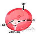 화식설비