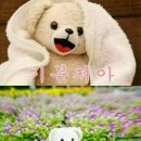 황금알 pc방 이미지