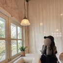 오마이코티지(oh my cottage) | [제주] 제주 서쪽 카페 안덕 오마이살롱