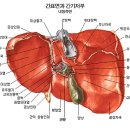 간이 건강하지 못하다는 신호 20가지 이미지