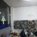 자매수선 이미지