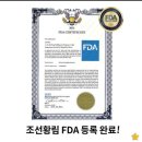 발효명가서초한의원 | 조선비책 침향환, 겨울 활력 부스터로 딱!