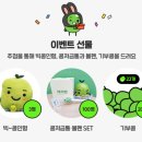 빅콩 이미지