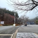 도림사관광안내소 이미지