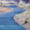 체육공원로399번길 이미지