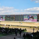 과천5단지아파트노동조합 | 1·29 대책 '과천부지 공급' 반발 확산…마사회노조 "총력 투쟁"