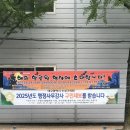 해피파동
