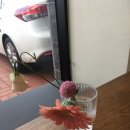 베이커리카페] 감성 가득한 플랜테리어와 디저트가 맛있는 ‘페어리바이츠’ 솔직후기(단체석/통창맛집)