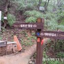 성관목장 이미지