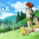 포레스트 이미지