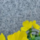 주식회사 경성산업 이미지