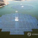 자유태양광발전소 이미지