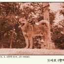 도리호