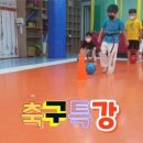 호평 MBA 태권도장 이미지