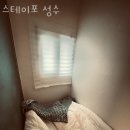 스테이포성수