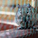 화성사슴농장 이미지