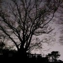 별화당 - 전주시 완산구 관선5길 16 | 별화당
