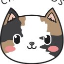 강남 고양이 분양 캣프렌즈 이미지