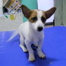 살랑살랑 이미지