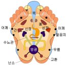 발마사지(반사요법) 이미지