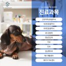 울산동물영상센터 이미지