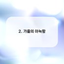 사계절커튼