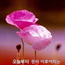 상림로 이미지