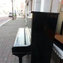 회원동131 이미지